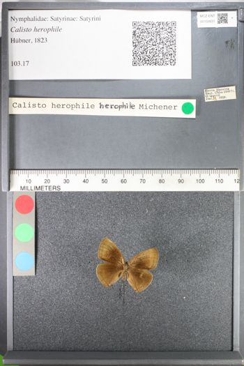 Media type: image;   Entomology 102631